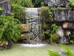 -广州神农草堂中医药博物馆