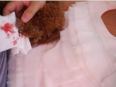 -宠Ta宠物生活馆(济宁任城区)