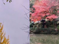 -秋霞圃
