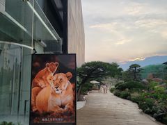 -罗红摄影艺术馆