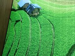 -湘邻呷铺·田园家宴(汉基广场店)