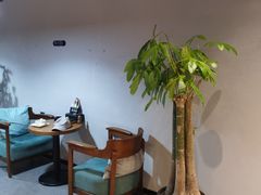 -梵猫·新养生(湛江鼎盛店)