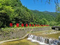-牛背梁国家森林公园