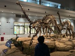 -自贡恐龙博物馆