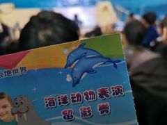 -泉城欧乐堡海洋极地世界