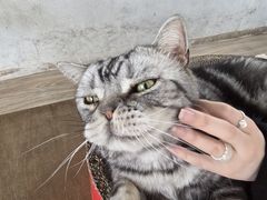 -小时光咖啡馆(北锣鼓巷店)