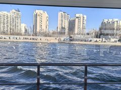 -海河外滩公园
