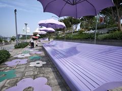 -光明港公园