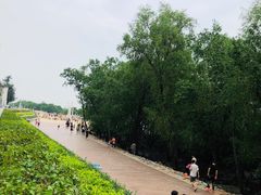 -宝安西湾红树林湿地公园