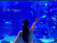 -沈阳海洋探索中心