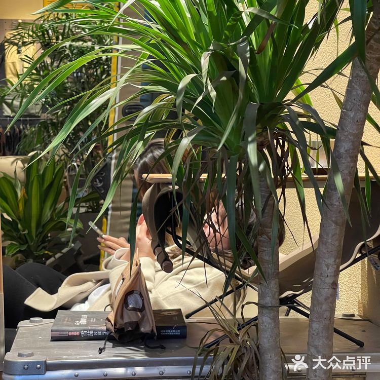 郑州首家市内露营咖啡馆