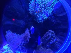 -太平洋海底世界