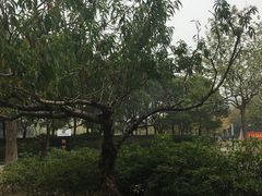 -上海第二工业大学(金海路校区)