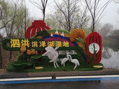 -泗洪洪泽湖湿地景区