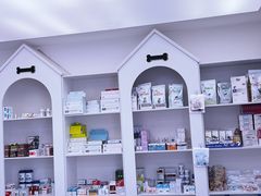 -特一安24小时宠物医院·骨科·中兽医