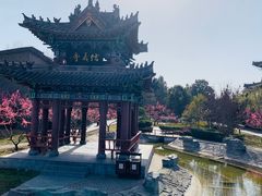 -关林