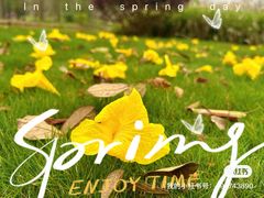 -森波拉奇妙世界