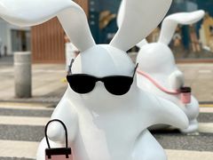 -深圳湾万象城(南山店)