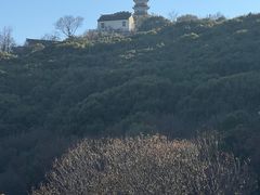 -苏州上方山国家森林公园