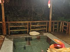 -天门沟九州驿站树上汤泉