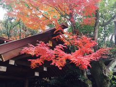 景点-热田神宫