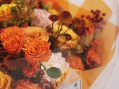 -植物学家的女儿(北马道巷店)