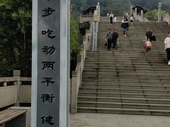 -铁山坪森林公园