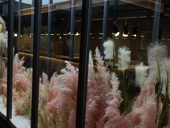 -拈菜(观音桥阳光世纪店)