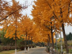 -东升八家郊野公园