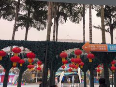 -海合安成都极地海洋公园