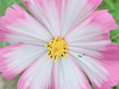 -宁波五龙潭景区