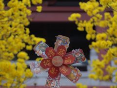 -光孝寺