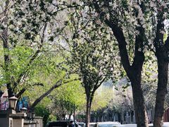 -天津五大道文化旅游区