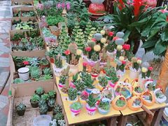 -秦美花卉(天朗·莱茵小城2期店)