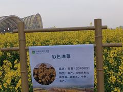 -中国天府农业博览园