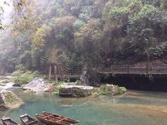 -三峡人家风景区