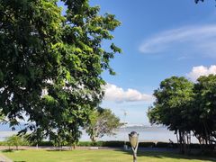 -深圳湾公园(南山区)