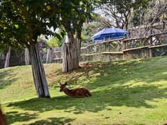 -泉州海丝野生动物世界