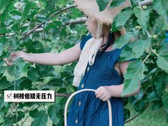 -御林古桑园