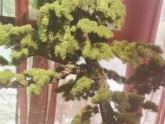 -四季厨房 鲁菜·孔府烤鸭(高新万达店)