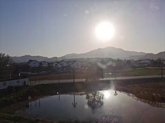 -黄牛肉馆·皖南土菜