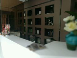 -佐登妮丝美容SPA生活馆