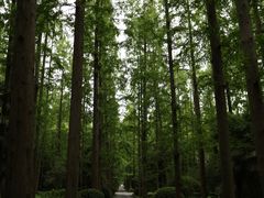 -上海怡沁园度假酒店
