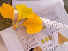 -龙湖杭州滨江天街