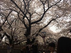 -名古屋城