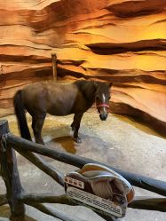 -酷嗒动物文化乐园(cutezoo西溪乐天城店)