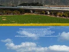 -光明小镇欢乐田园