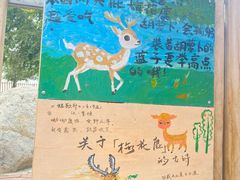-水上乐园·欢乐世界