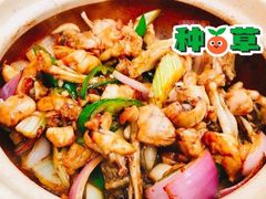-汤氏美食台山水步特色黄鳝饭(龙津东路店)