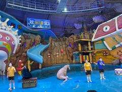 -烟台海昌鲸鲨海洋公园